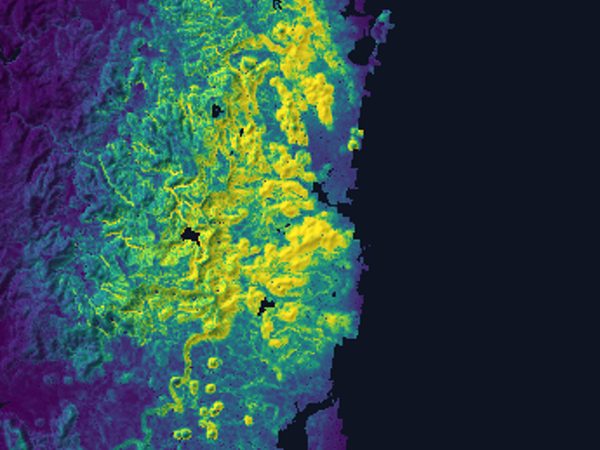 Map of modelled suitability for the birdwing's host vine north of Brisbane