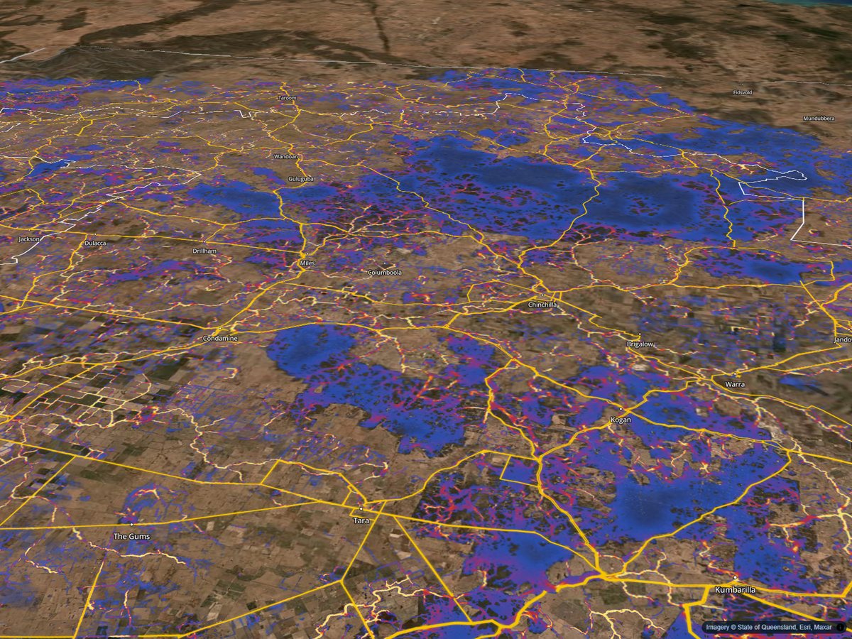 3D view of the Western Downs from the app: modelled wildlife movement in blue and red, and the stock routes in yellow, over satellite imagery