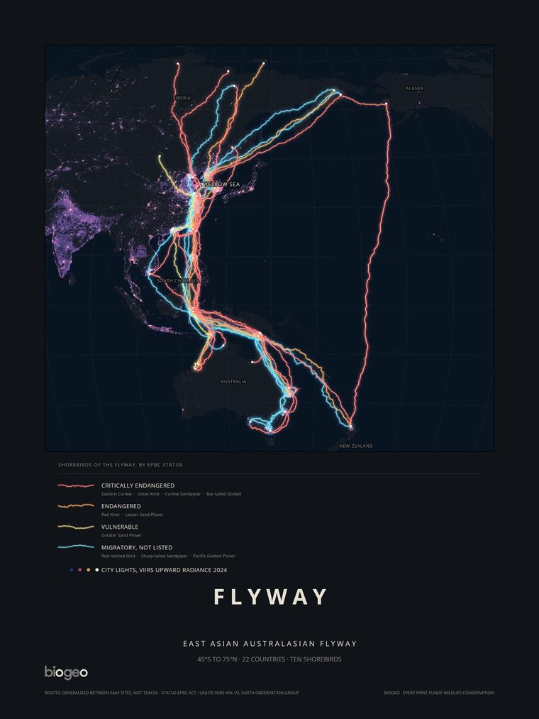 Flyway, a BioGeo Editions print