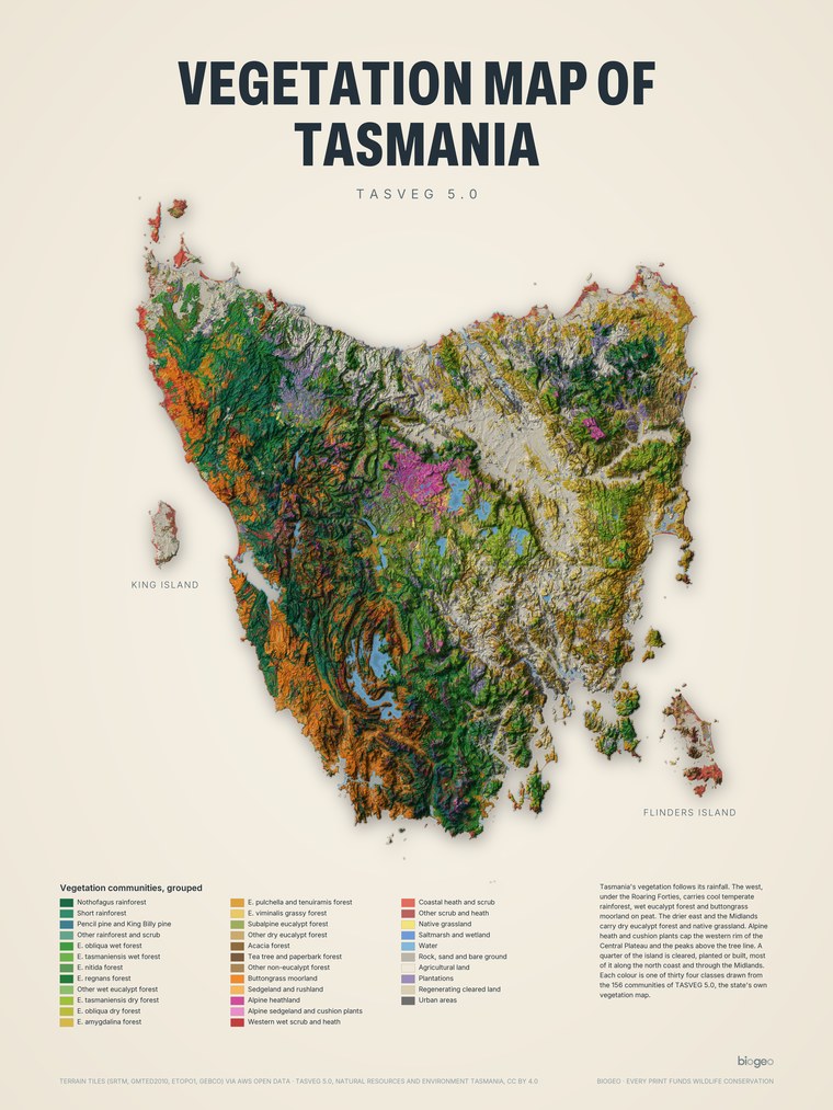 Tasmania's vegetation over relief, a BioGeo Editions print