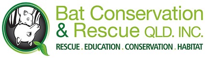Bat Conservation & Rescue Queensland