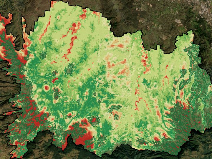 MaxEnt habitat suitability map for the grey-crowned babbler