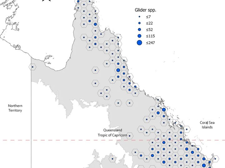 Glider records across Queensland summarised in hexagons