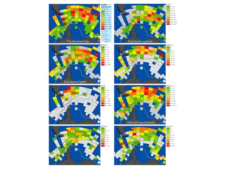 Macrozooplankton distribution in the Southern Ocean