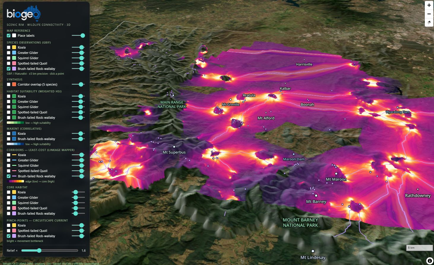 The Scenic Rim wildlife corridors draped over the terrain in 3D