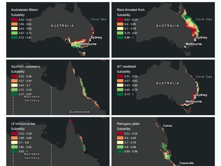 Bioclimatic suitability maps for eight threatened species