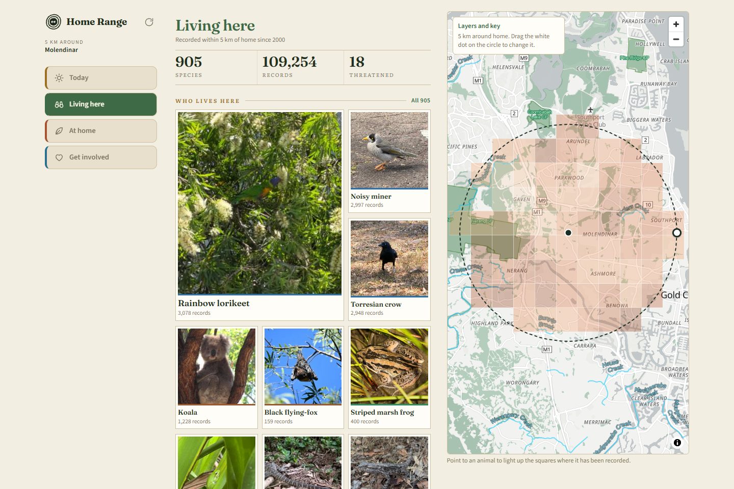 Home Range, Living here: the animals recorded within 5 km of a home in Molendinar, with the records squares on a map beside them