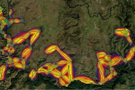Wildlife corridors mapped across the Scenic Rim